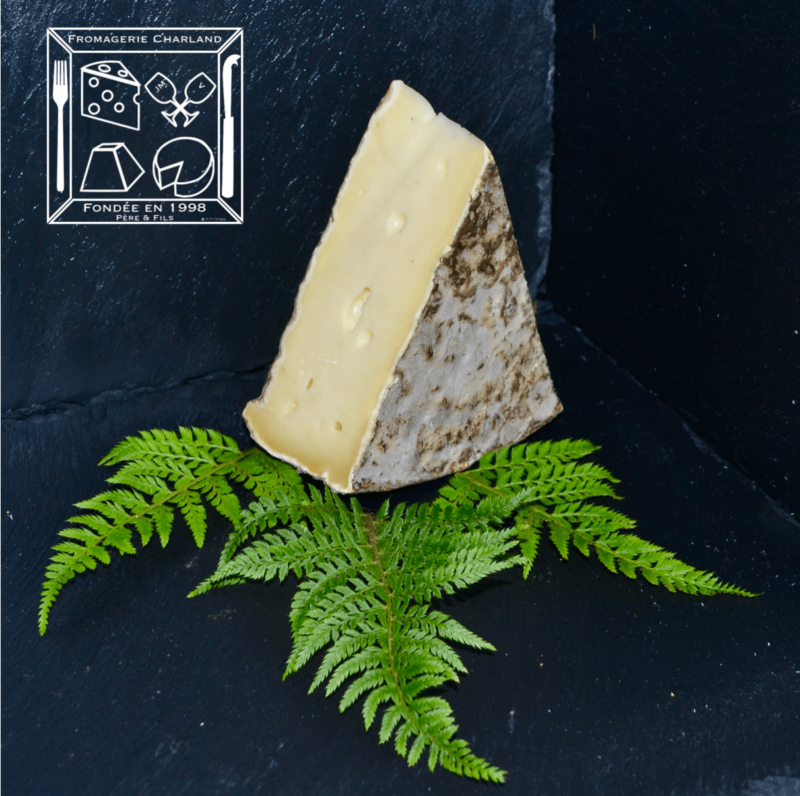 Saint Nectaire fermier le fromage d'Auvergne à pâte molle par excellence !