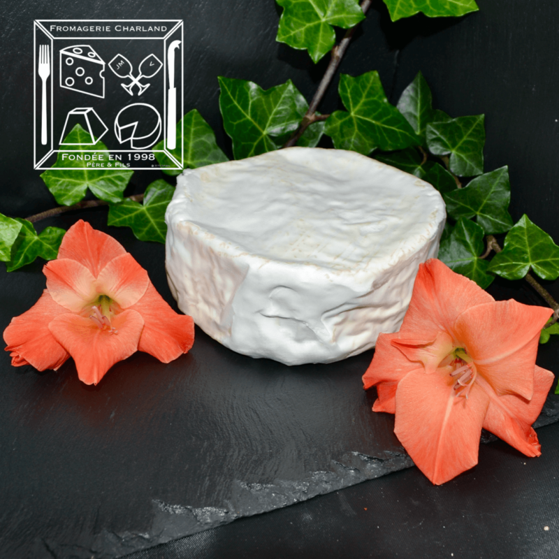 Fromage à la crème ce brillat-savarin est présenté en entier !