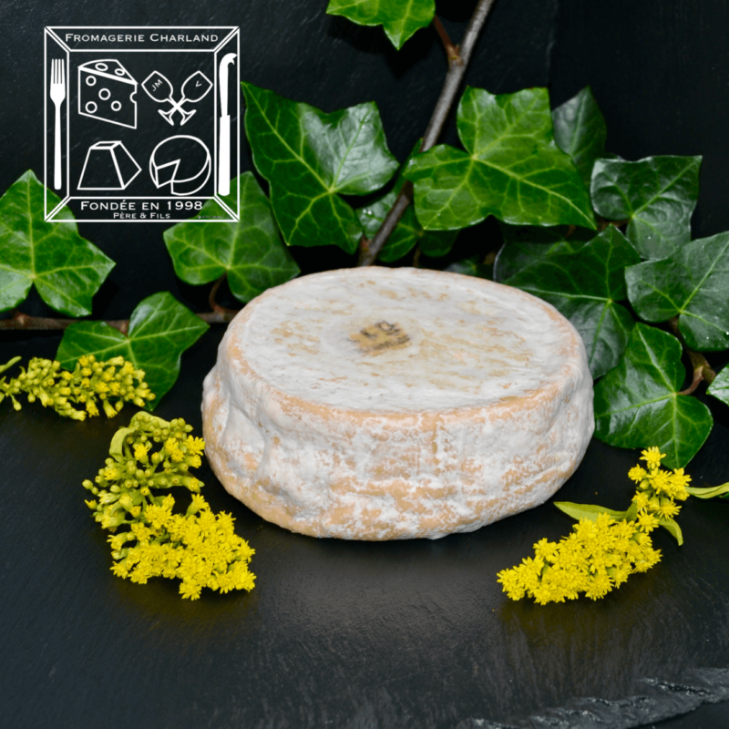 Chevrotin fermier des Aravis A.O.P. est un fromage de chèvre des alpes au lait cru !